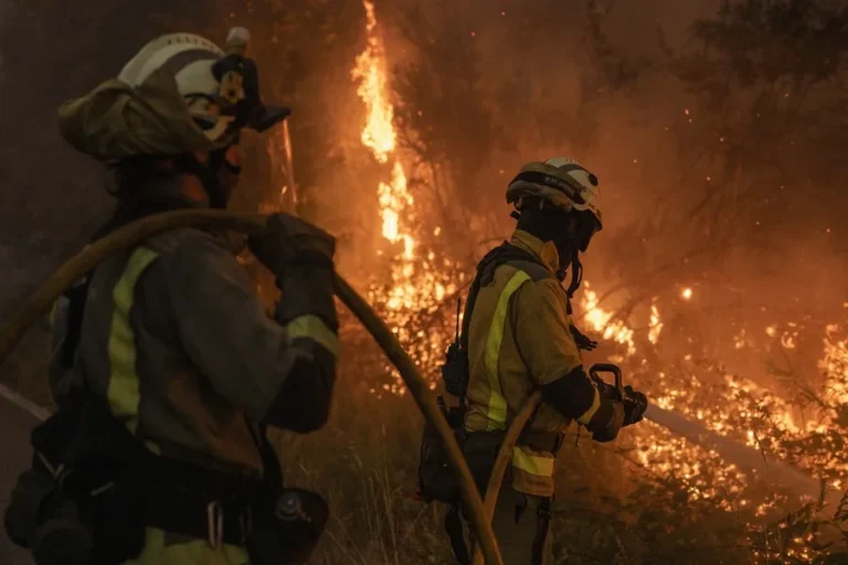 Incendios en Galicia: impacto y recuperación del suelo